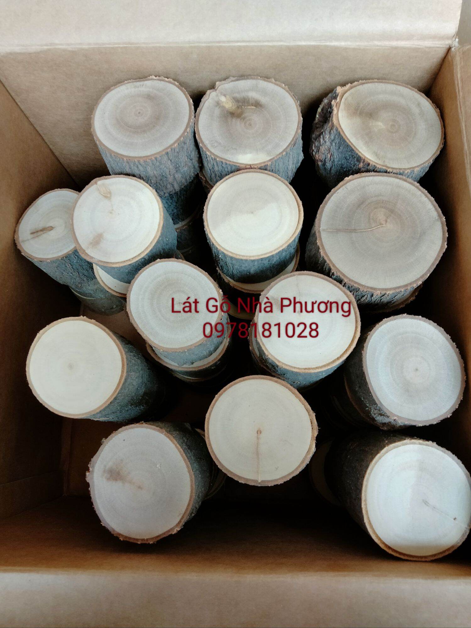 Khúc gỗ tự nhiên cao 5cm, đk 5-6cm