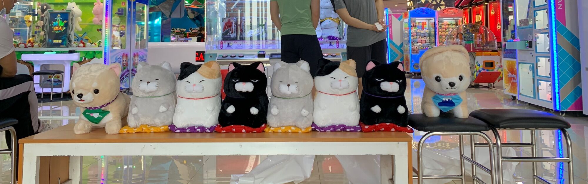 Gấu bông Mèo thảm Amuse Nhật bản Big size ✅