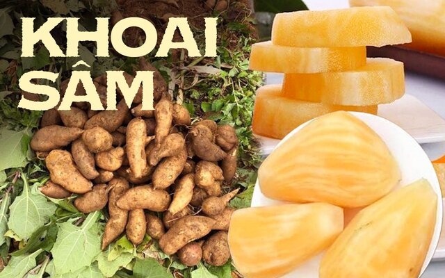 Khoai Sâm Đất đặc sản Lào Cai 1 củ to