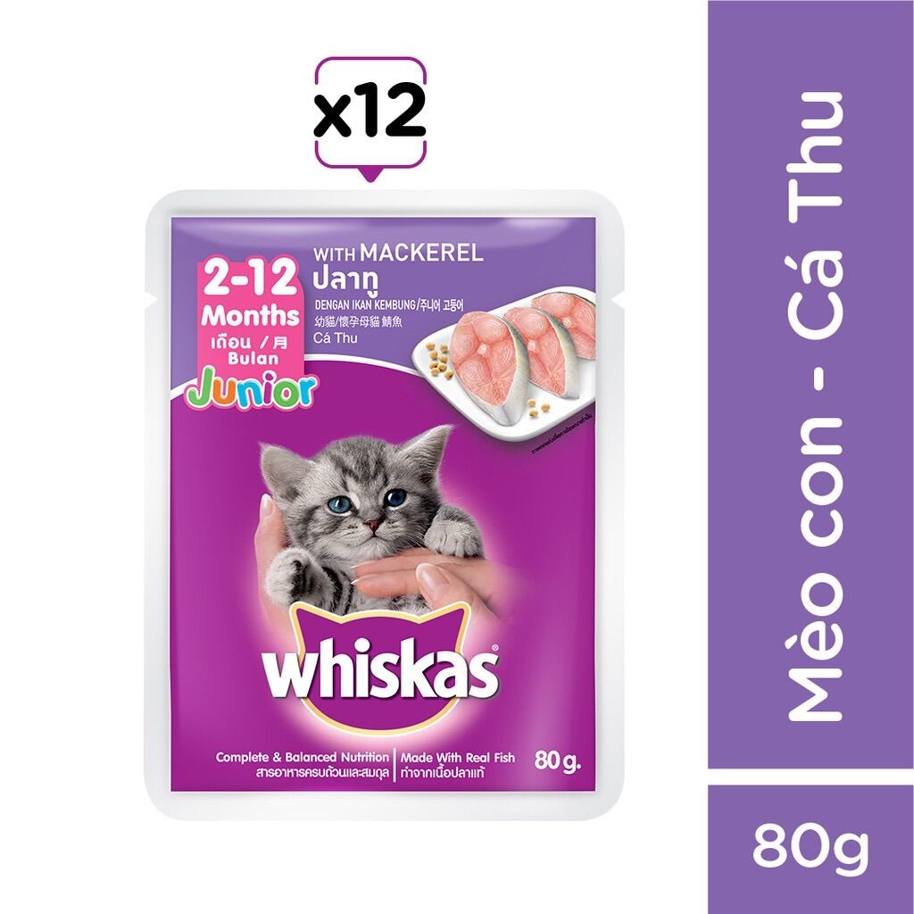 [ 24 gói ] pate Whiskas gói dành cho mèo con