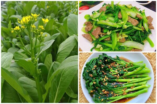 Hạt giống Rau Cải Ngồng (gói 20g)