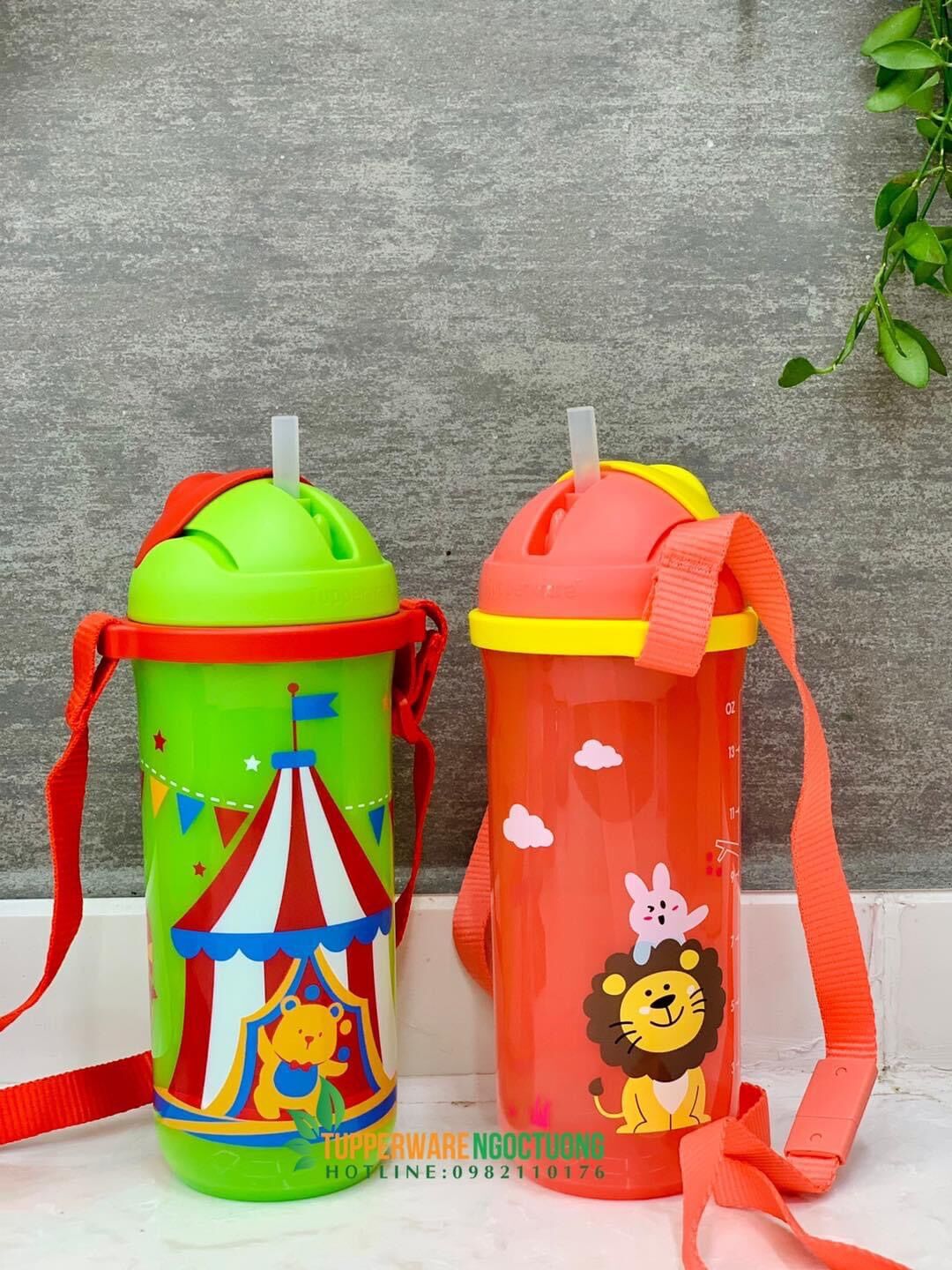 bình nước có ống hút cao cấp cho bé Tupperware