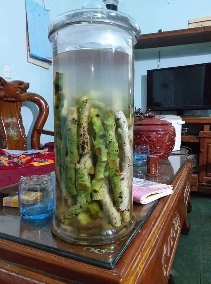 Cốt toái bổ ( tắc kè đá) khô 1kg