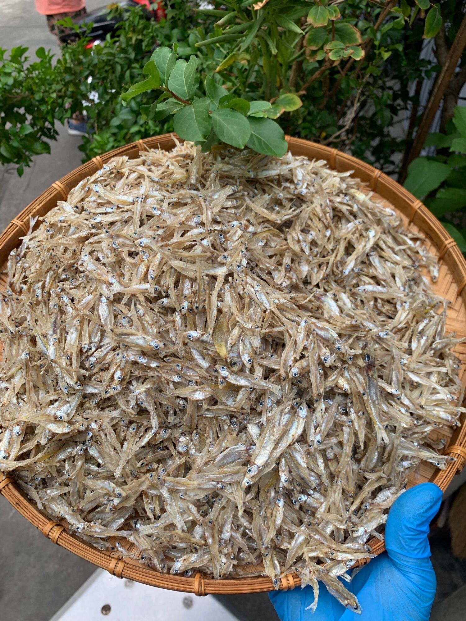[1 ký ] KHÔ CÁ CƠM SÔNG 100% THIÊN NHIÊN