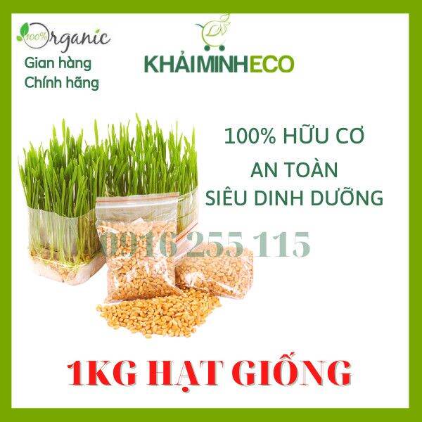 1kg hạt giống cỏ lúa mì khải minh organic