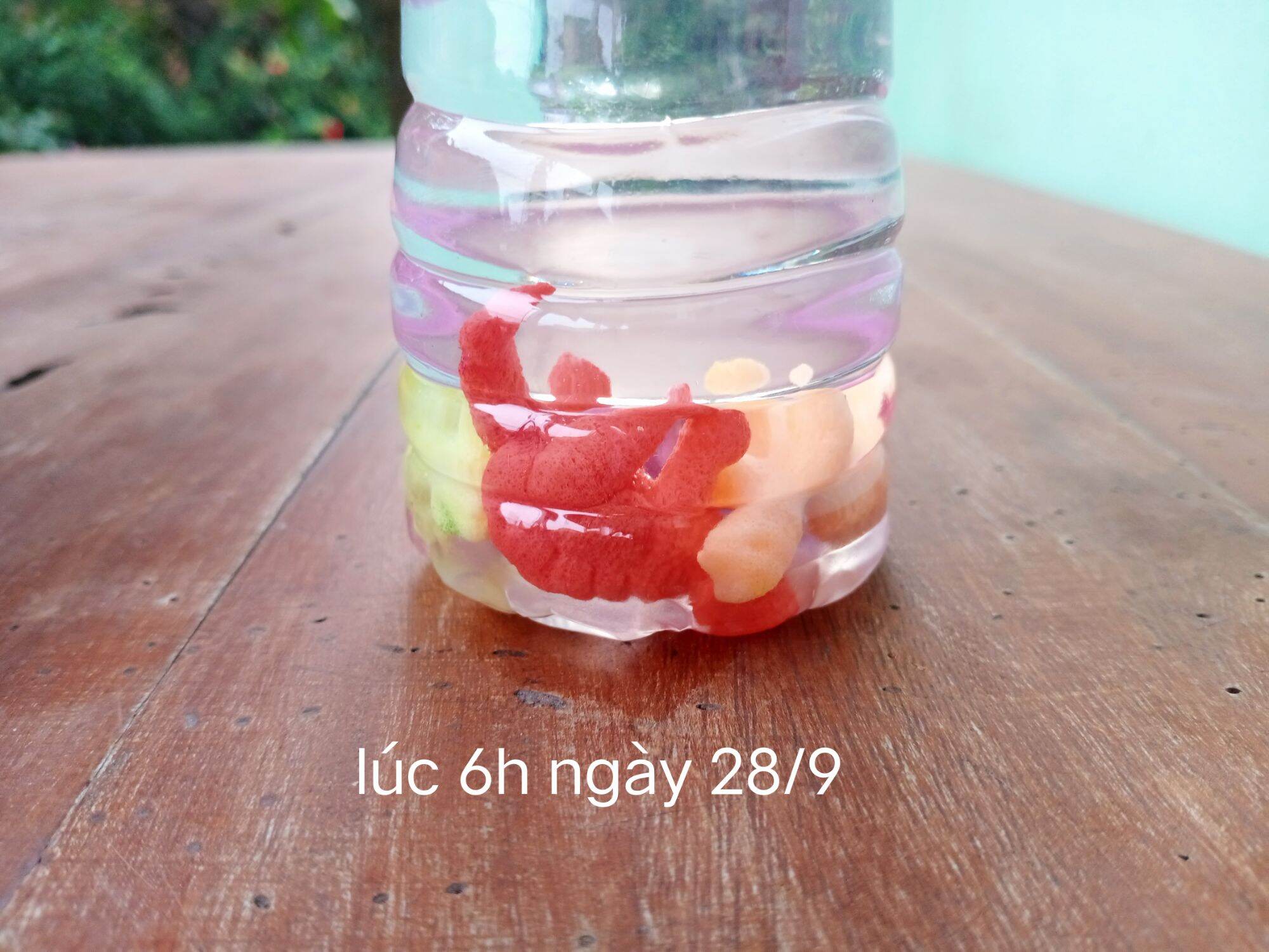 Sét 3 trứng khủng long tự nở trong nước