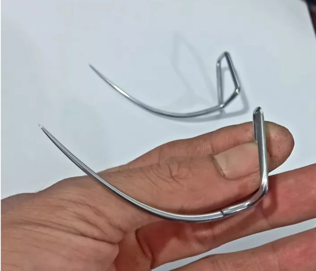 Cựa gà nòi, cựa gà tre đủ size (Việt lai)
