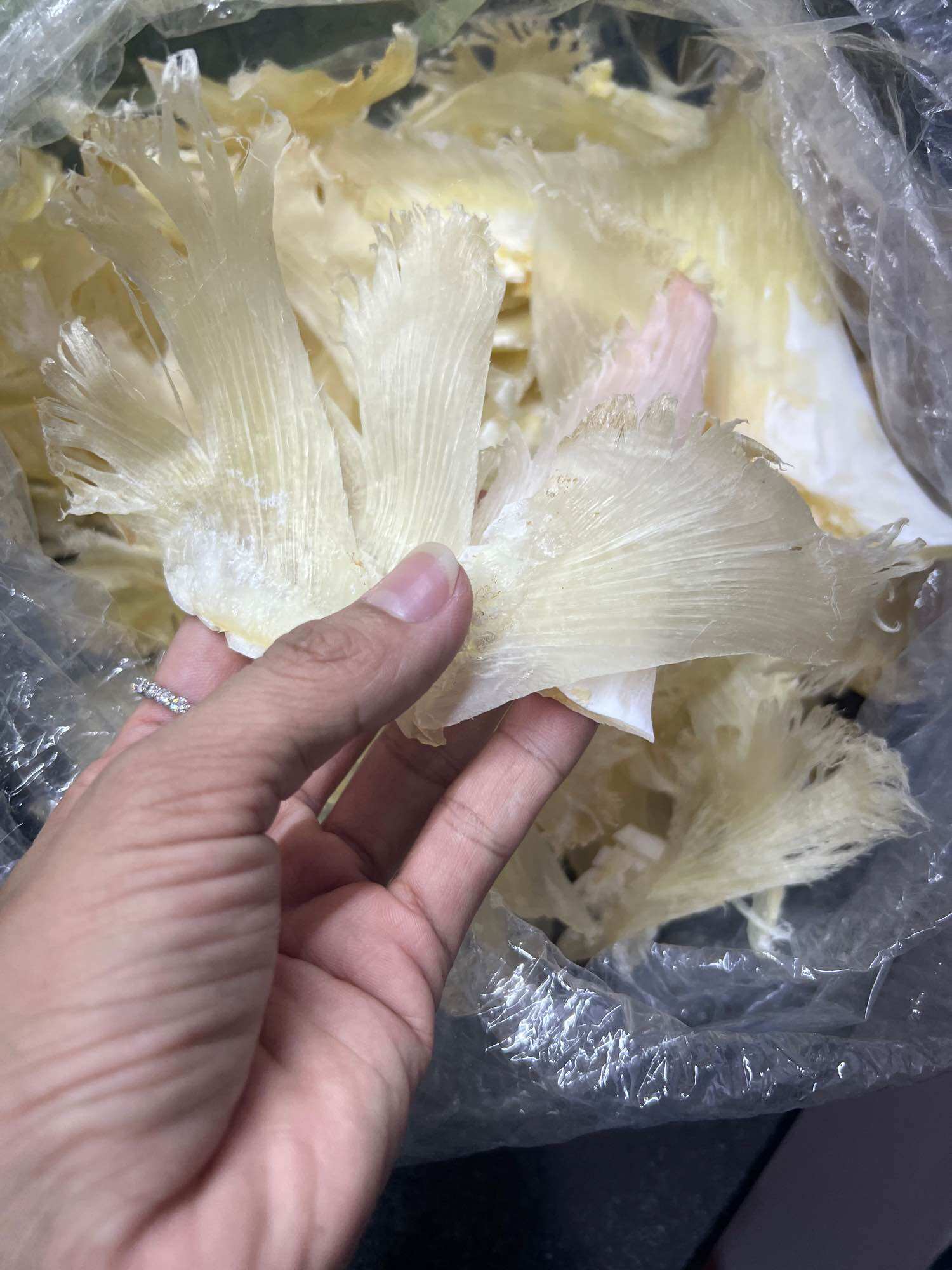 [loại 1] vi  cao cấp nấu súp nguyên cánh(100g)