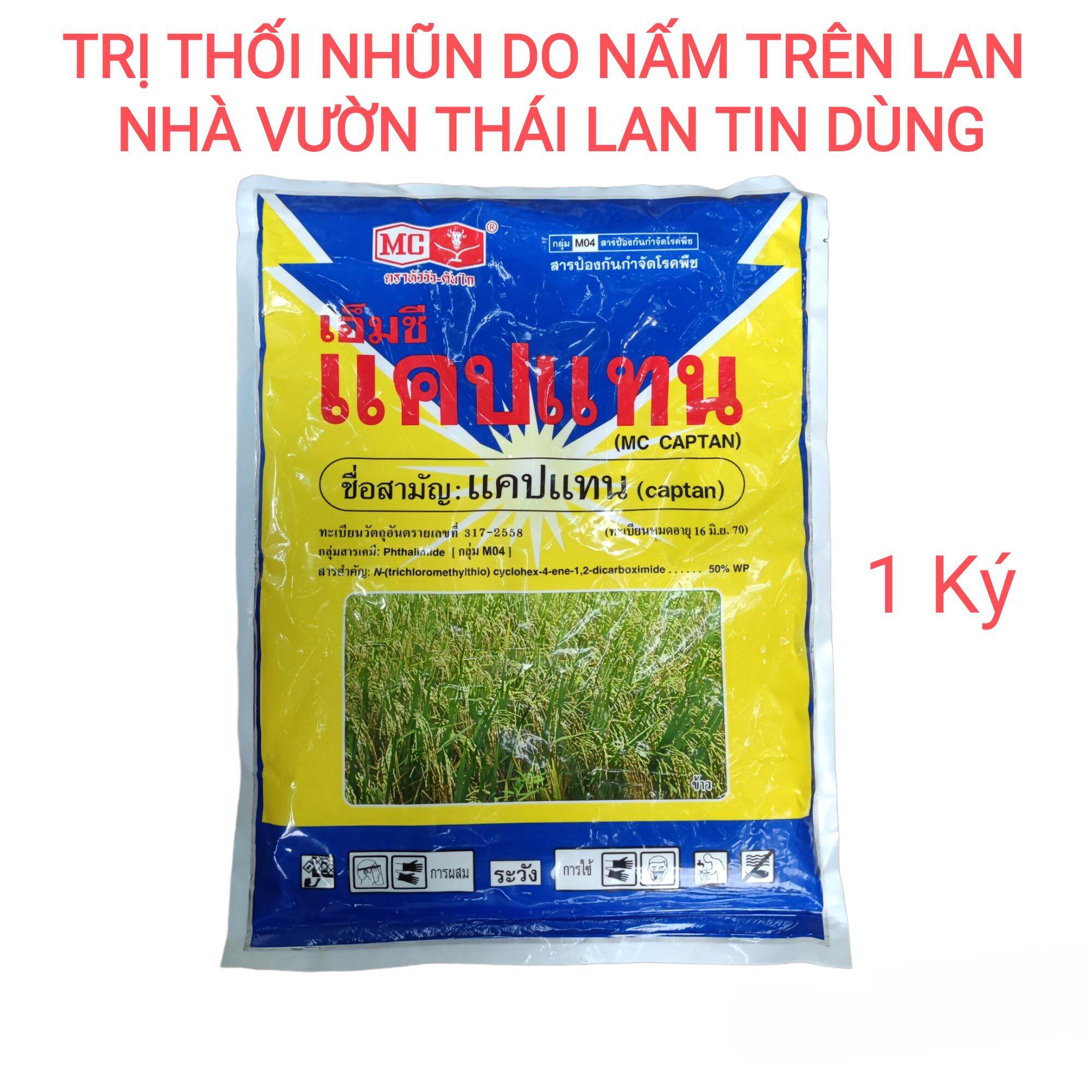Chống Nấm, Thối nhũn cho Lan, kiểng lá, nhà vườn Thái Lan tin dùng