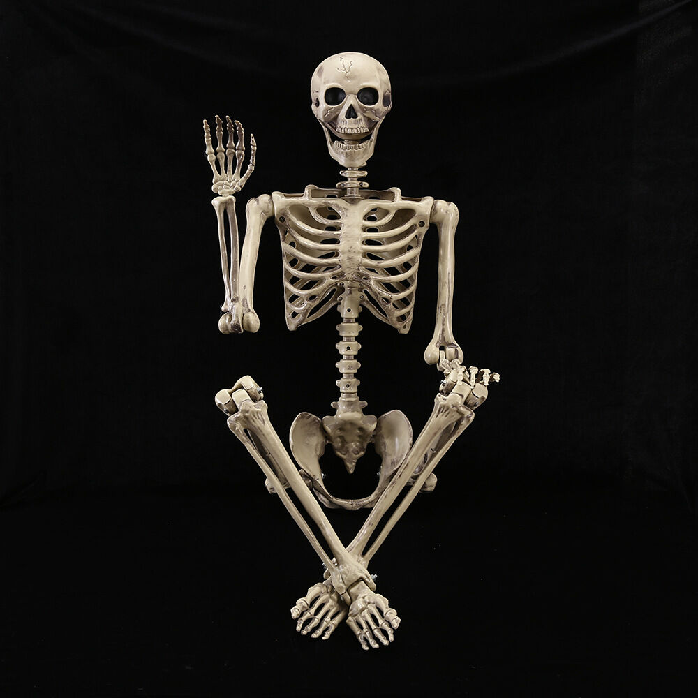 Loại nhựa cao cấp mô hình bộ xương người nhựa trang trí halloween 165cm