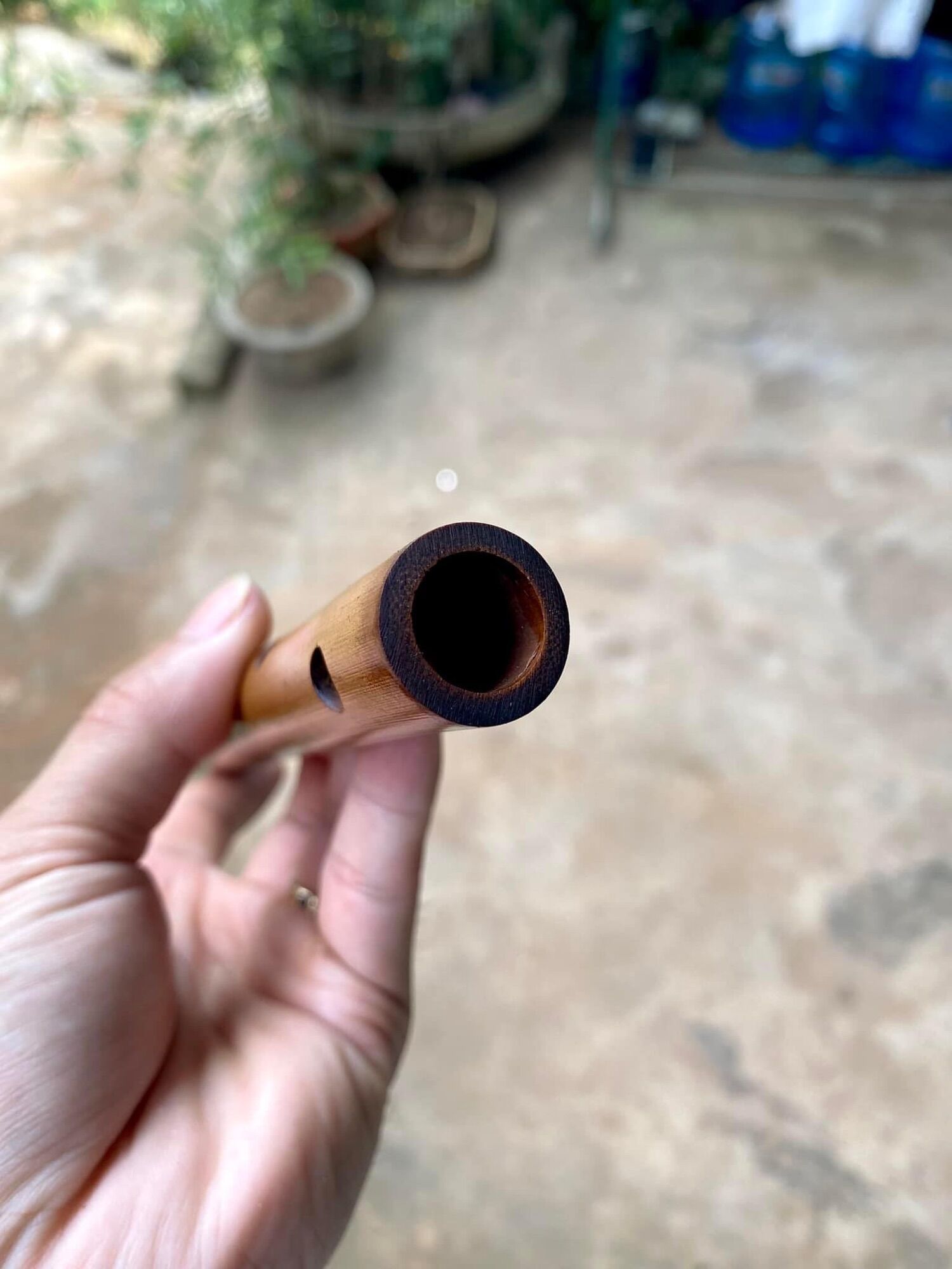Sáo nứa hun
