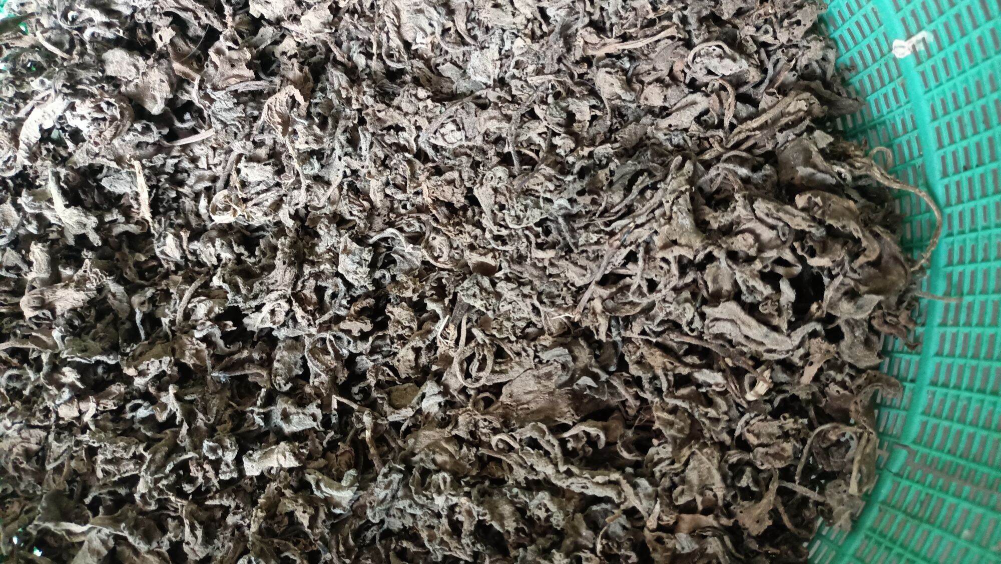 húng chanh khô 200g