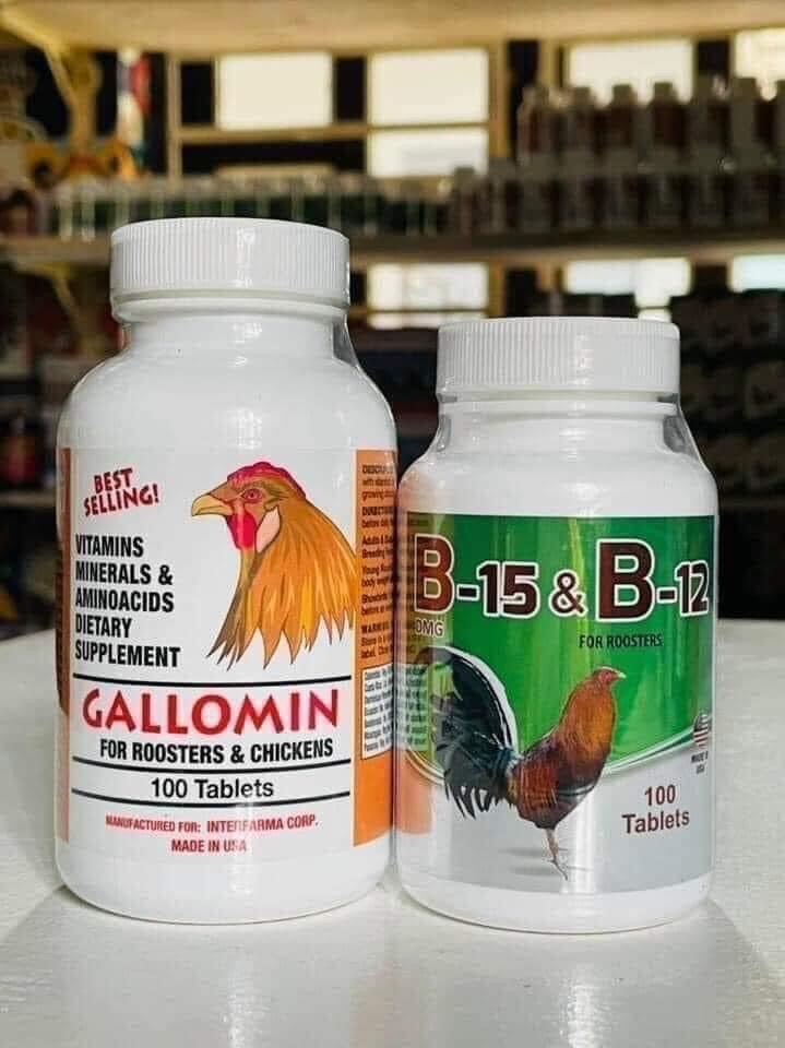 GALLOMIN &amp; B15-B12 - (Bộ đôi thuốc nuôi chất lượng)