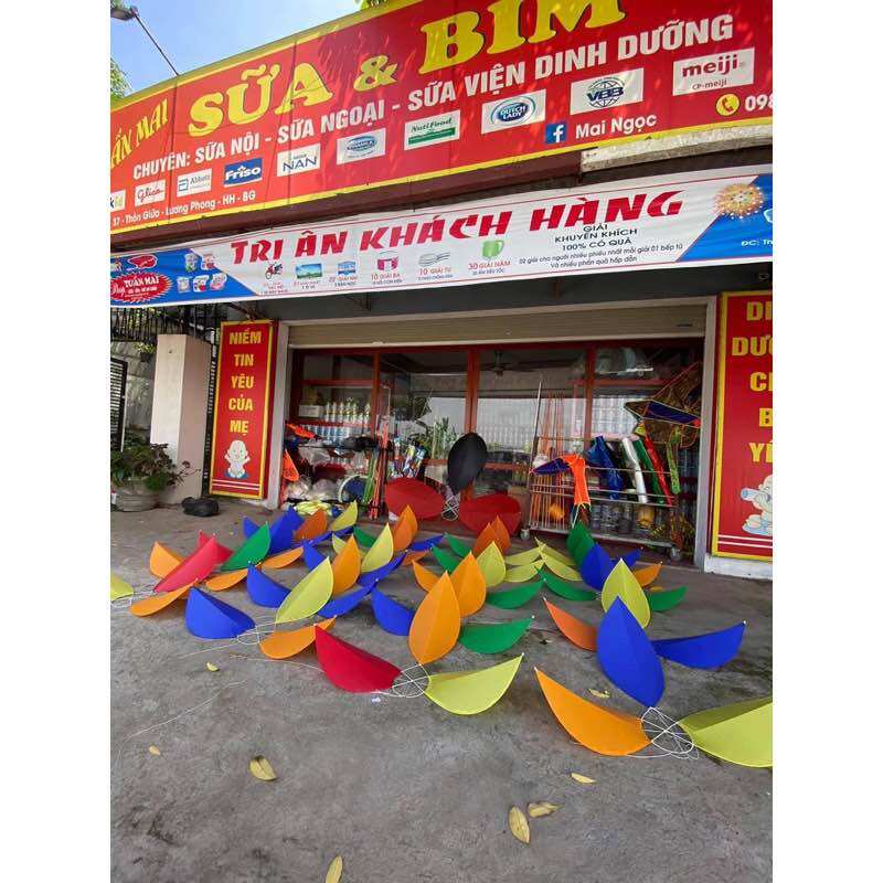 Diều cánh cốc 1,6m