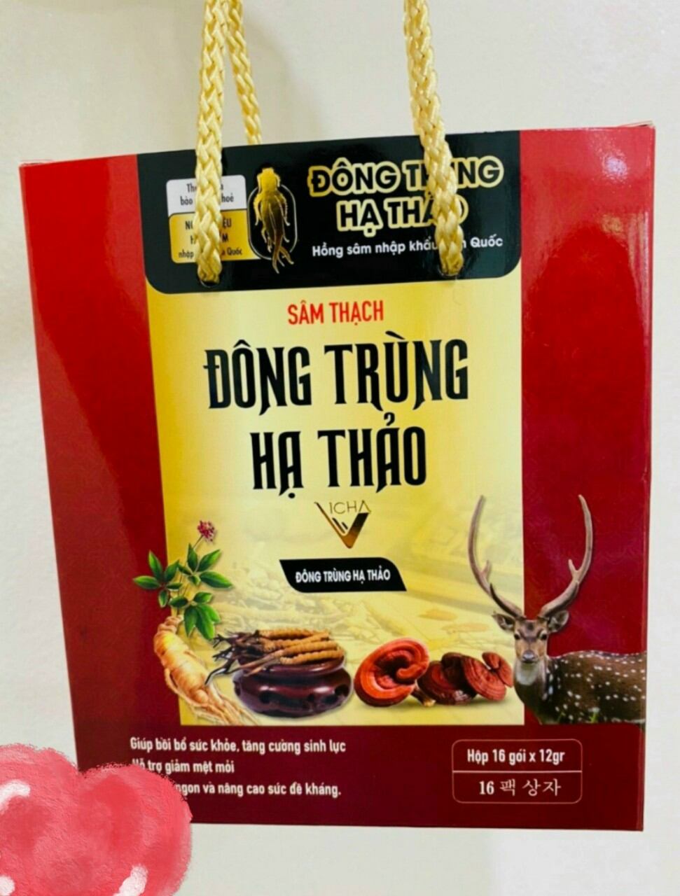 SÂM THẠCH ĐÔNG TRÙNG HẠ THẢO.