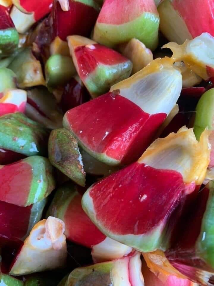 Na rừng ngâm riệu 150k/1 quả từ 1,2-1,5kg