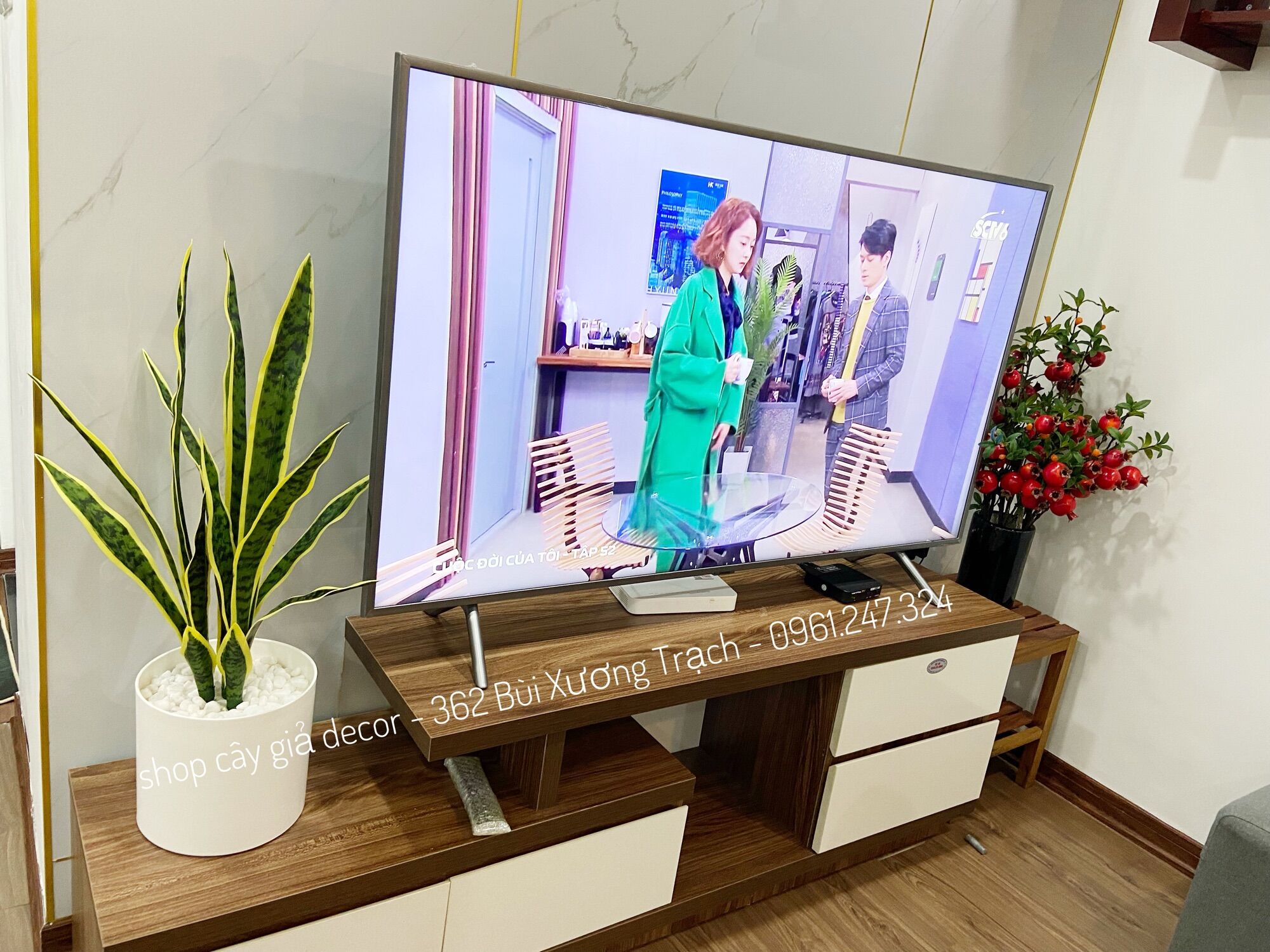 Cây lưỡi hổ giả - cây giả decor