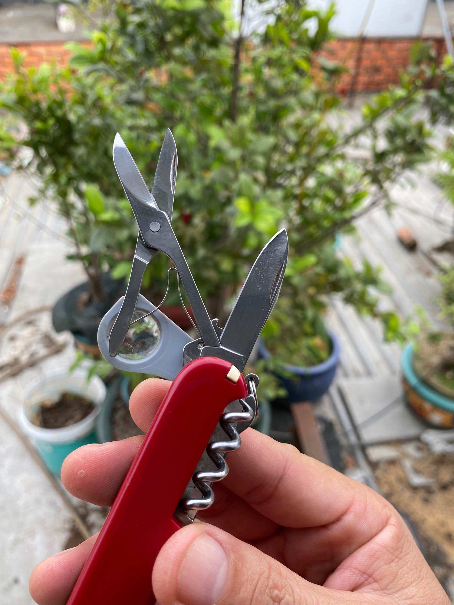 Dụng cụ đa năng Victorinox Explorer