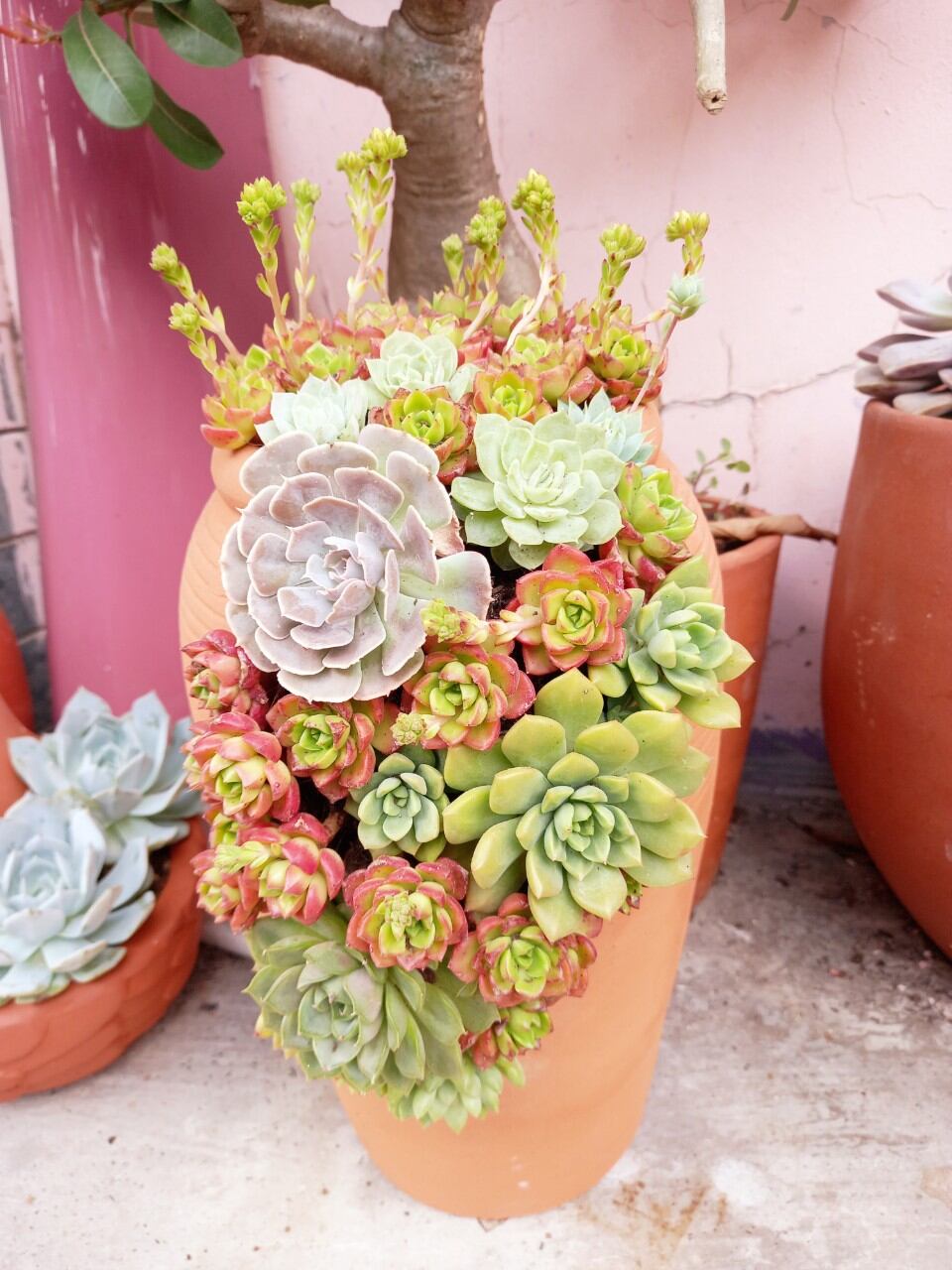 Chậu đất nung Bình Dương xẻ thân cao 30cm, miệng 13