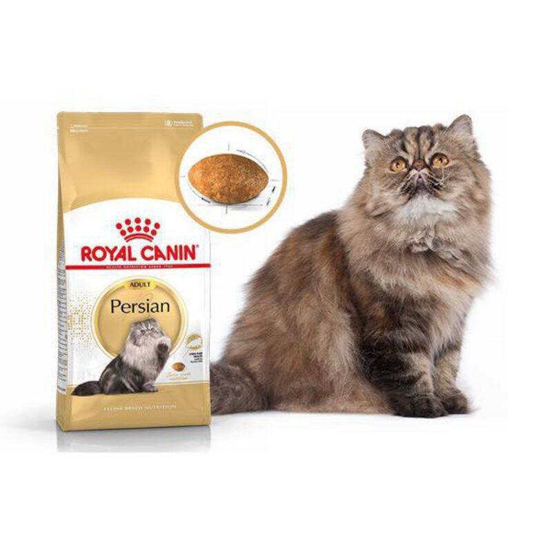 Thức ăn cho mèo ba tư trưởng thành royal canin persian adult 2kg