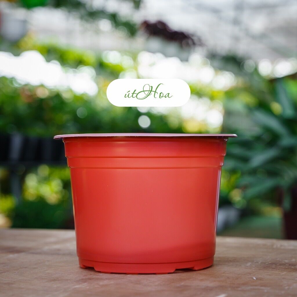 Chậu nhựa nâu N15 (15x12.5cm)vành miệng cứng