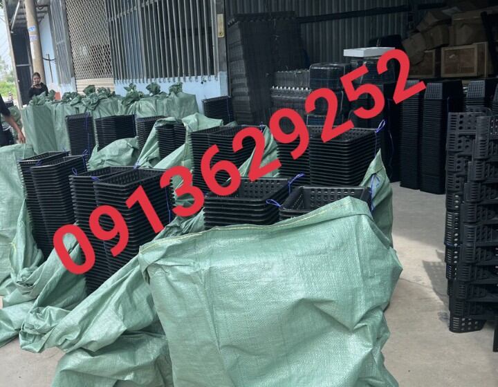 Hộp Nuôi Cua Biển