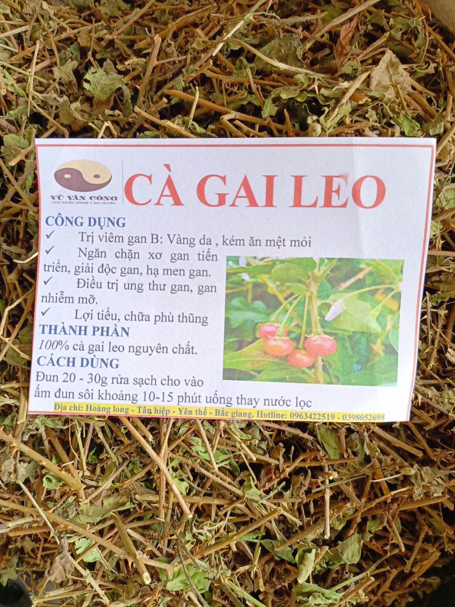 Cà gai leo 1 kg khô sạch