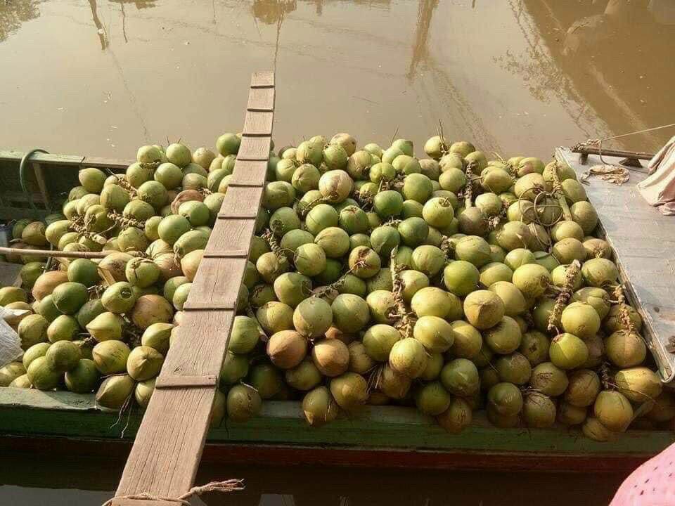 Mứt dừa non trắng sữa 500g
