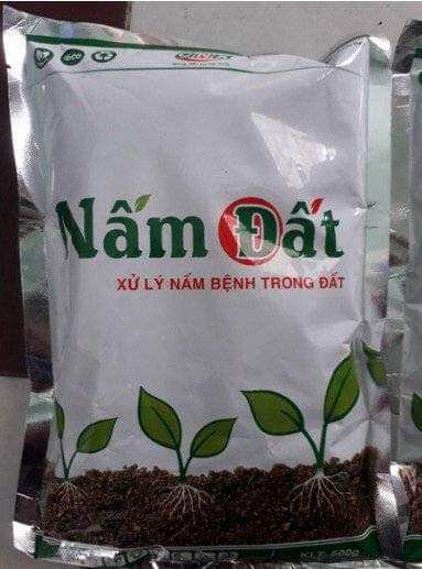 Nấm Đất- Xử lý nấm bệnh trong đất