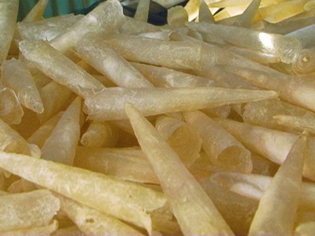 khô Bong bóng cá quả 500gr