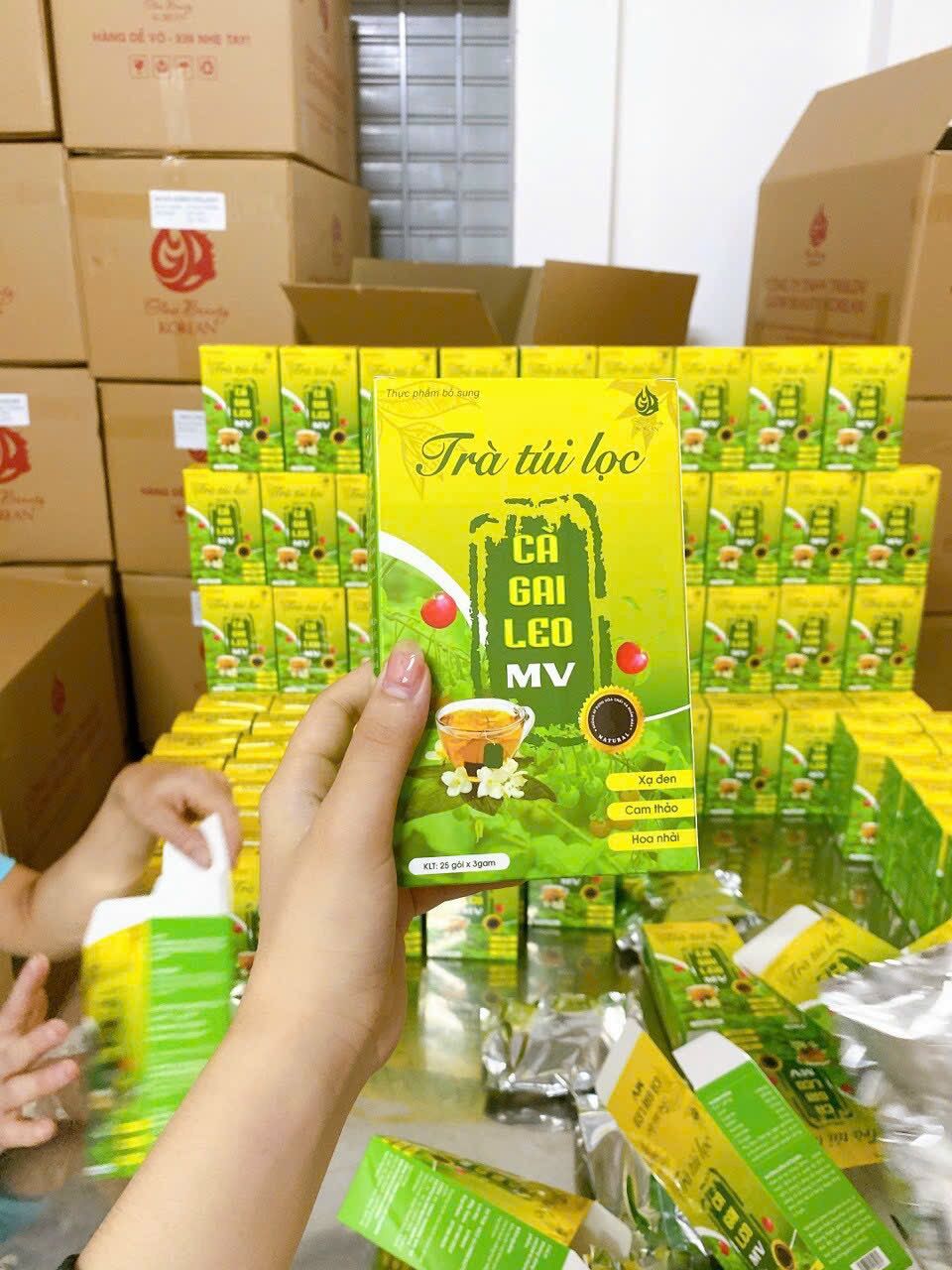 Combo 3 hộp trà túi lọc cà gai leo giải độc gan, hỗ trợ men gan