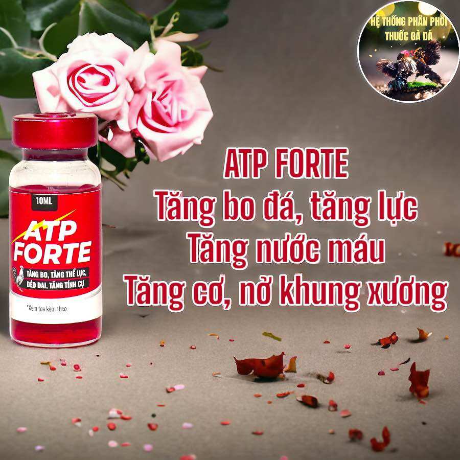 THUỐC GÀ ĐÁ ATP FORTE CHÍCH TĂNG LỰC TĂNG NƯỚC MÁU GÀ LỎN LẺN MAU CỰ CHAI 10 ML