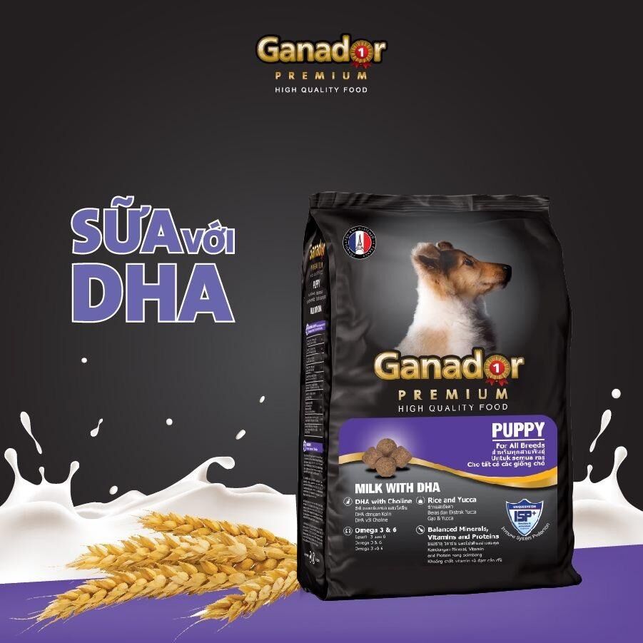 Thức ăn hạt cho chó Ganador Puppy 20kg