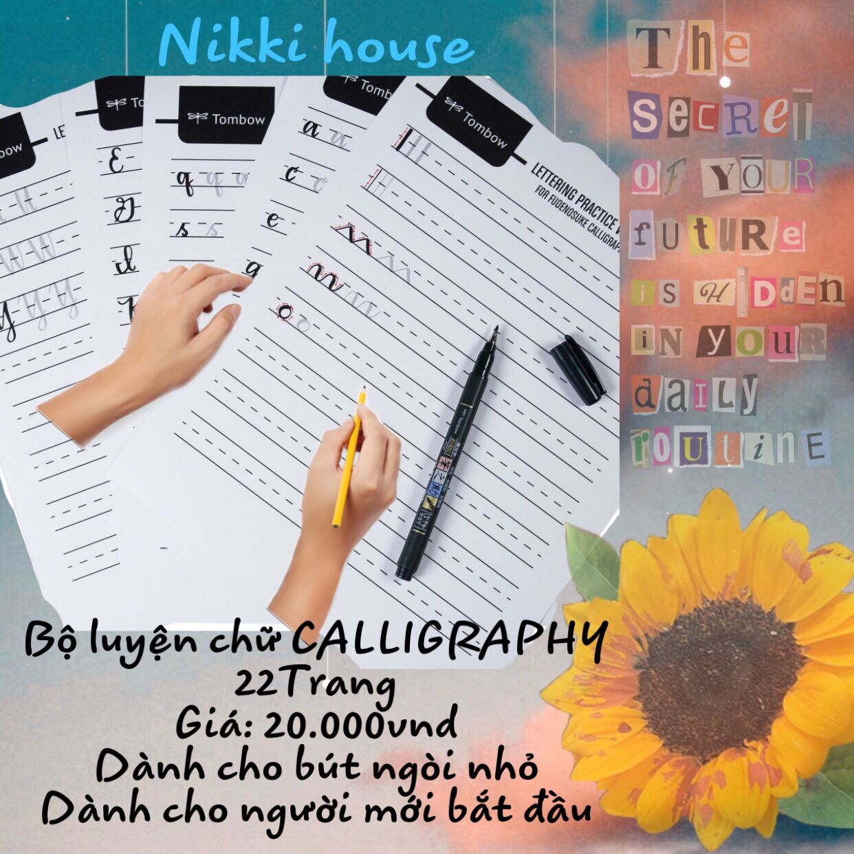 BỘ LUYỆN CALLIGRAPHY DÀNH CHO NGƯỜI MỚI BD