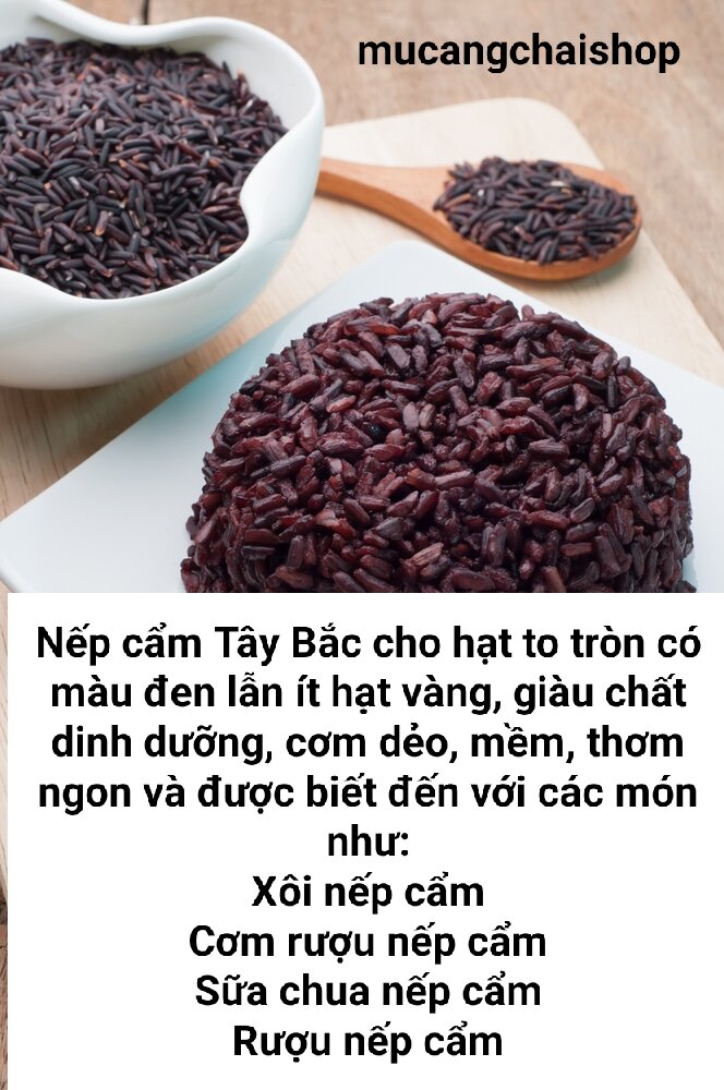 Hạt giống lúa nếp cẩm chuẩn nếp người Mông túi 500g