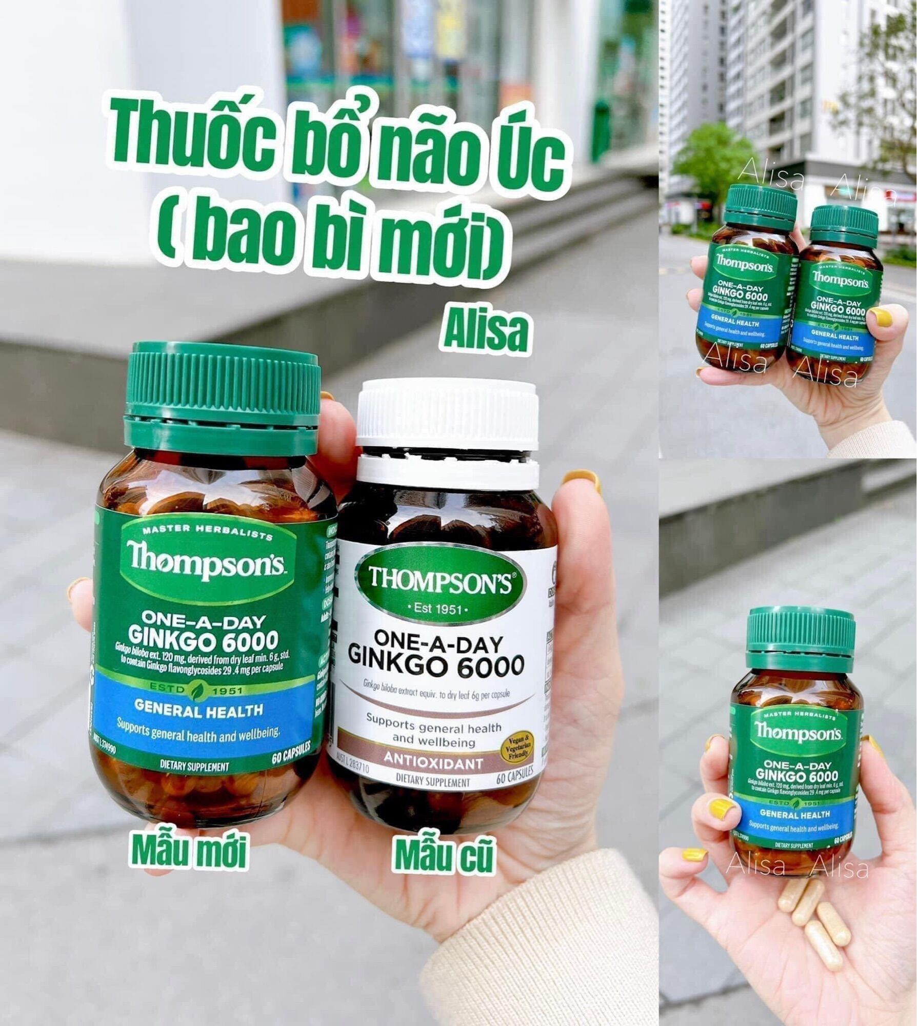 Ginkgo Biloba 6000 thompson úc