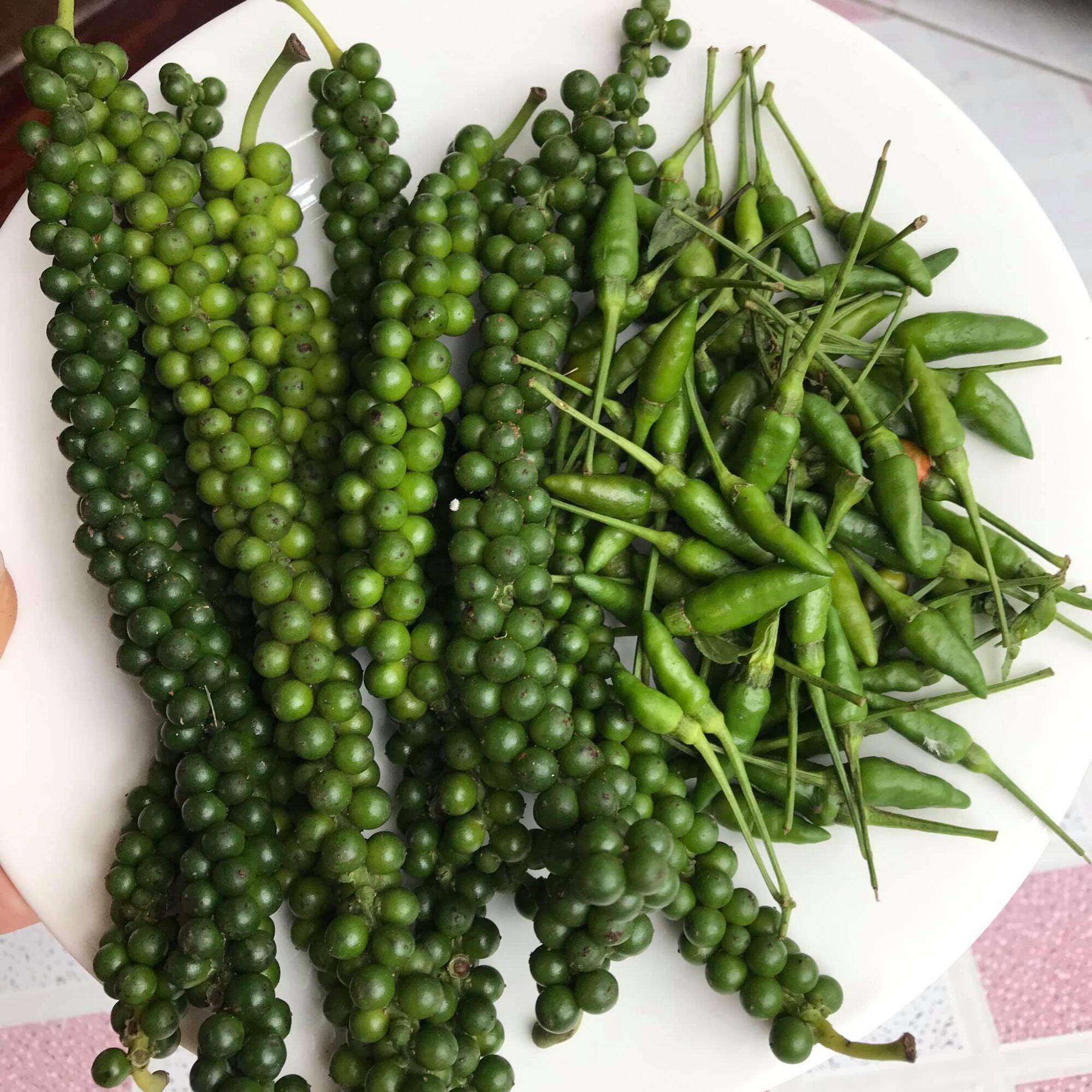 Tiêu xanh đak lak