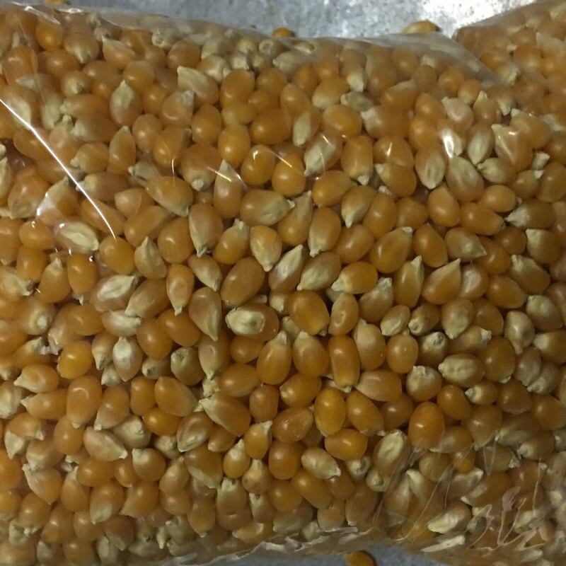 Bắp mỹ rang bơ ăn liền nhiều vị