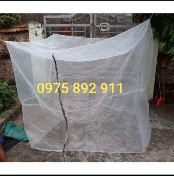 Lồng lưới nuôi cào cào 3x2x2