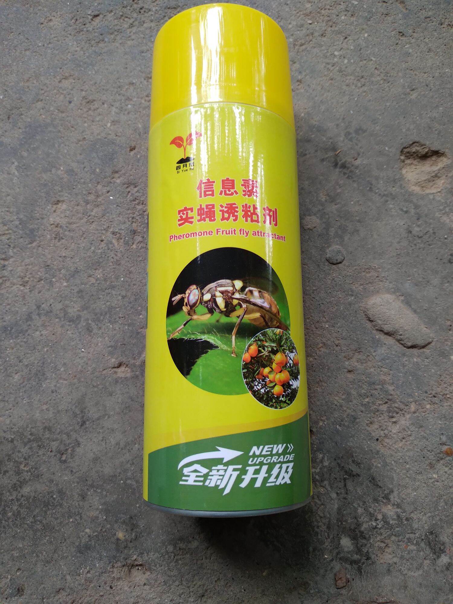 1 CHAI KEO XỊT DÍNH RUỒI VÀNG ĐỤC TRÁI.