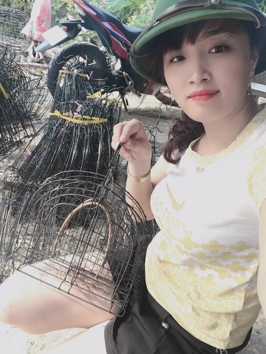 Mẹt bẫy choè treo cây