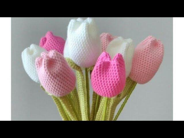 HOA LEN TULIP
