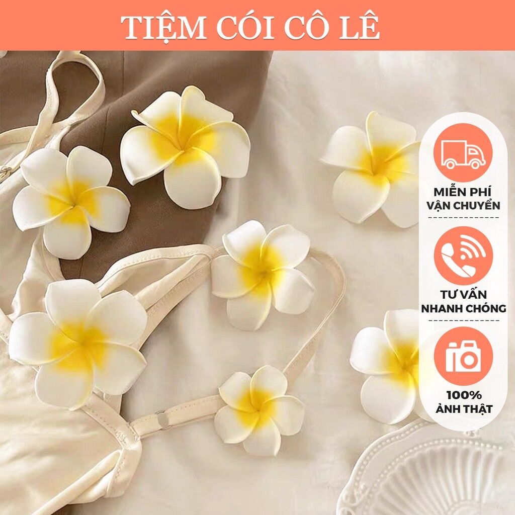 Hoa đại cài tóc, phụ kiện cài tóc đi biển siêu xinh cho bạn gái - Tiệm Cói Cô Lê