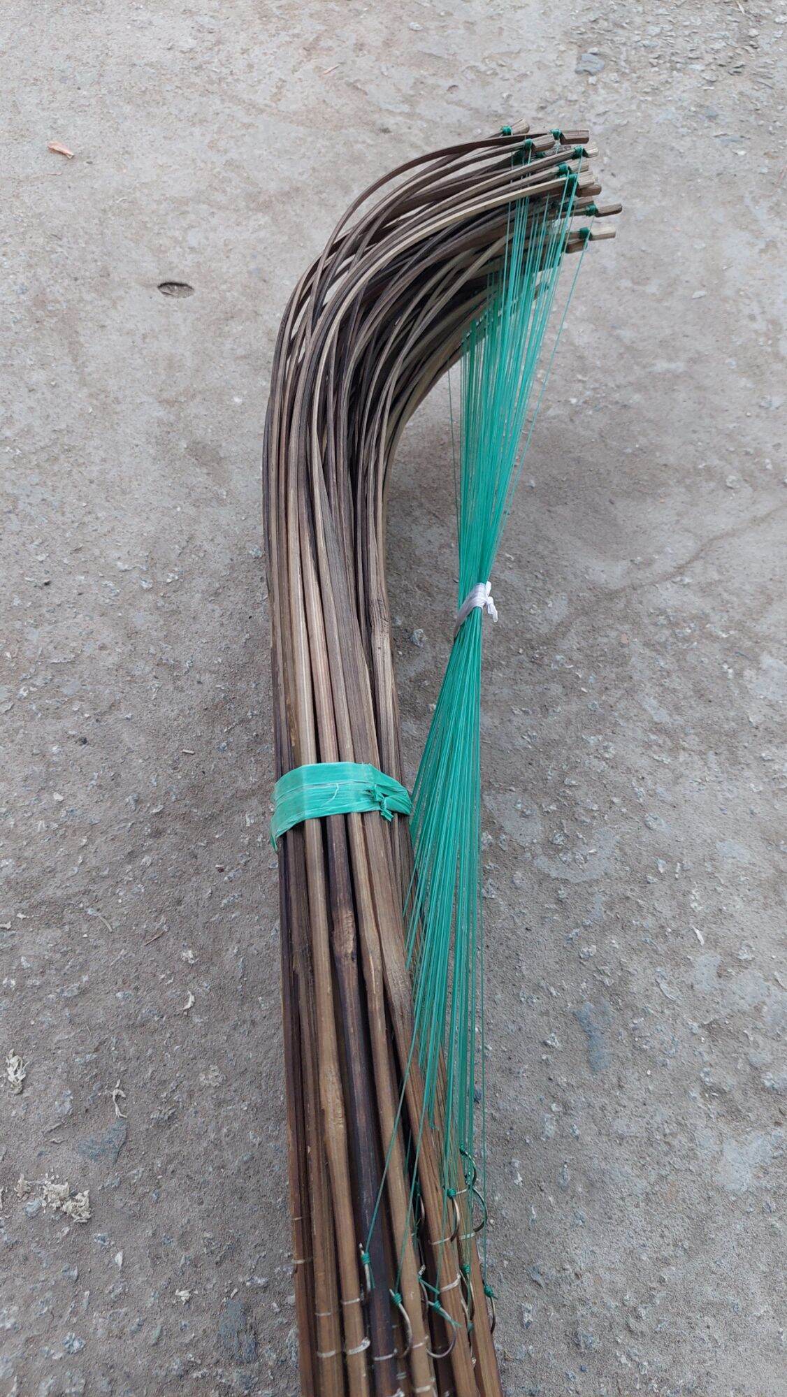 Cần câu cắm cá lóc 50 cần tóm sẵn
