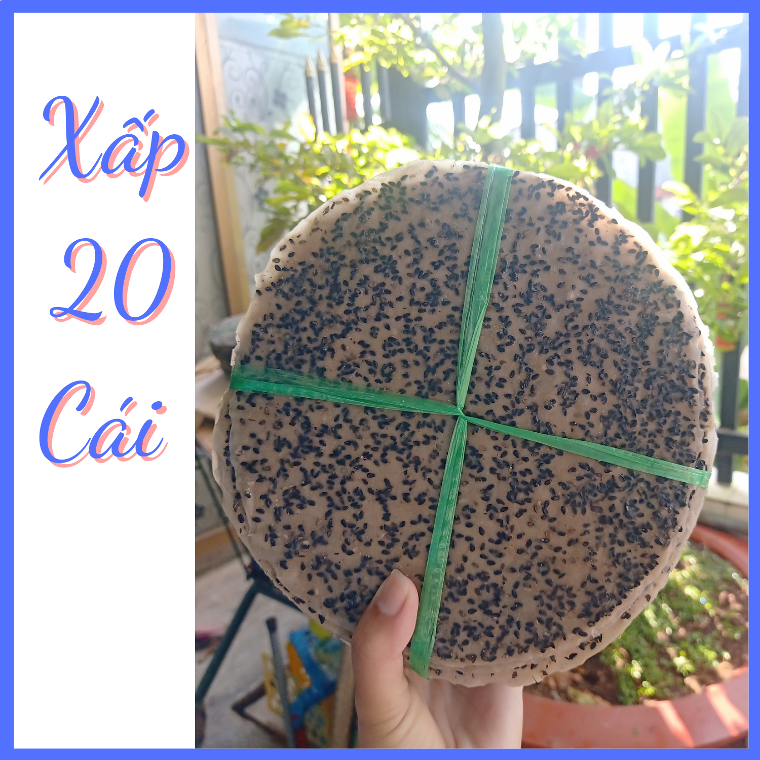 Xấp 20 cái bánh tráng mè dừa, bánh tráng nướng - đặc sản tây ninh
