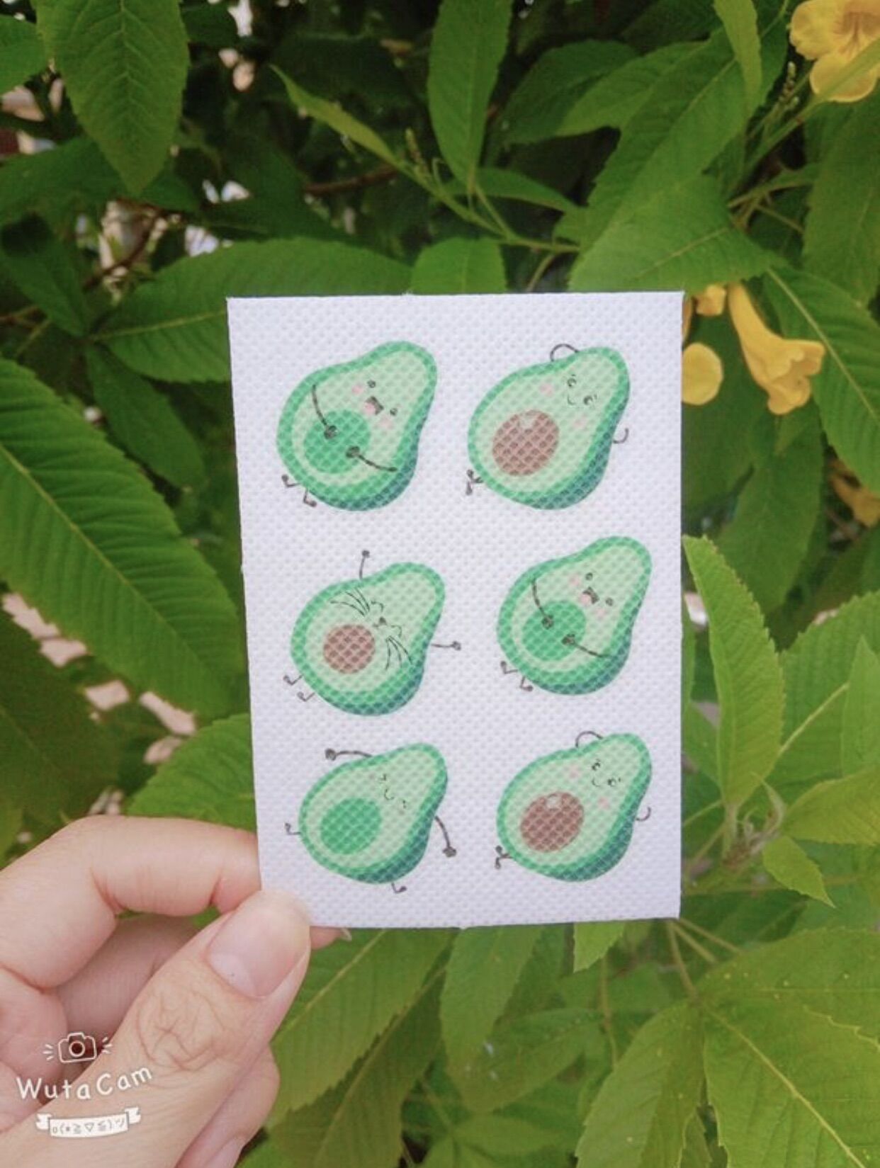 Miếng Dán Chống Muỗi Đốt Hình Trái Bơ Cute Dễ Thương