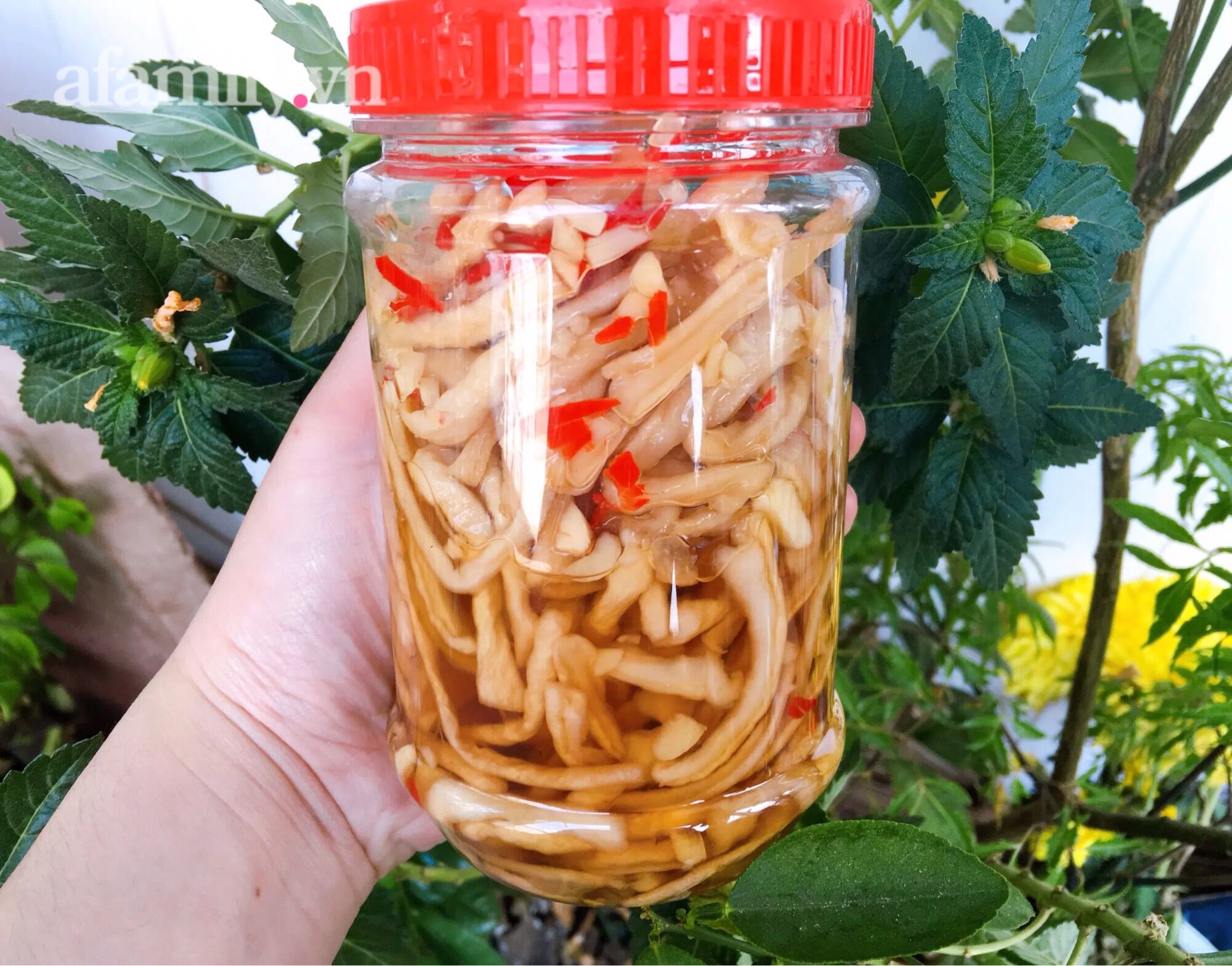 Củ Cải ngâm nươc tương hủ 500g