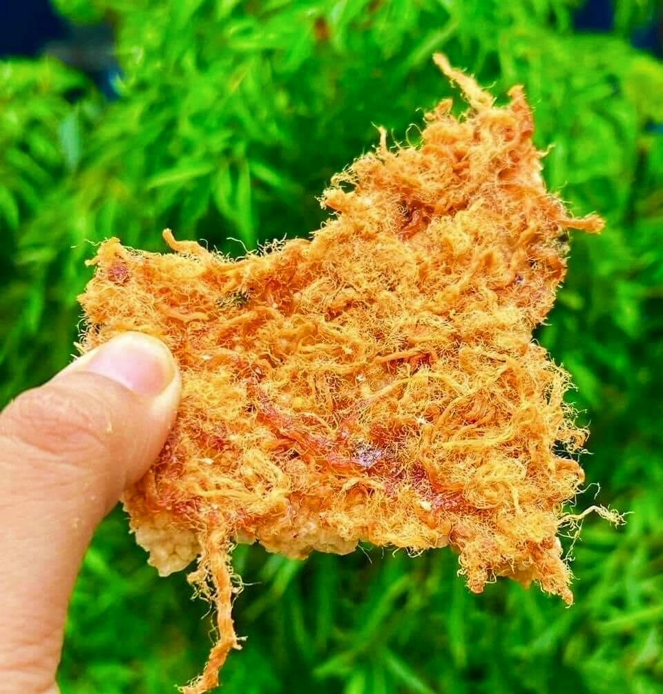 500g cơm cháy siêu chà bông
