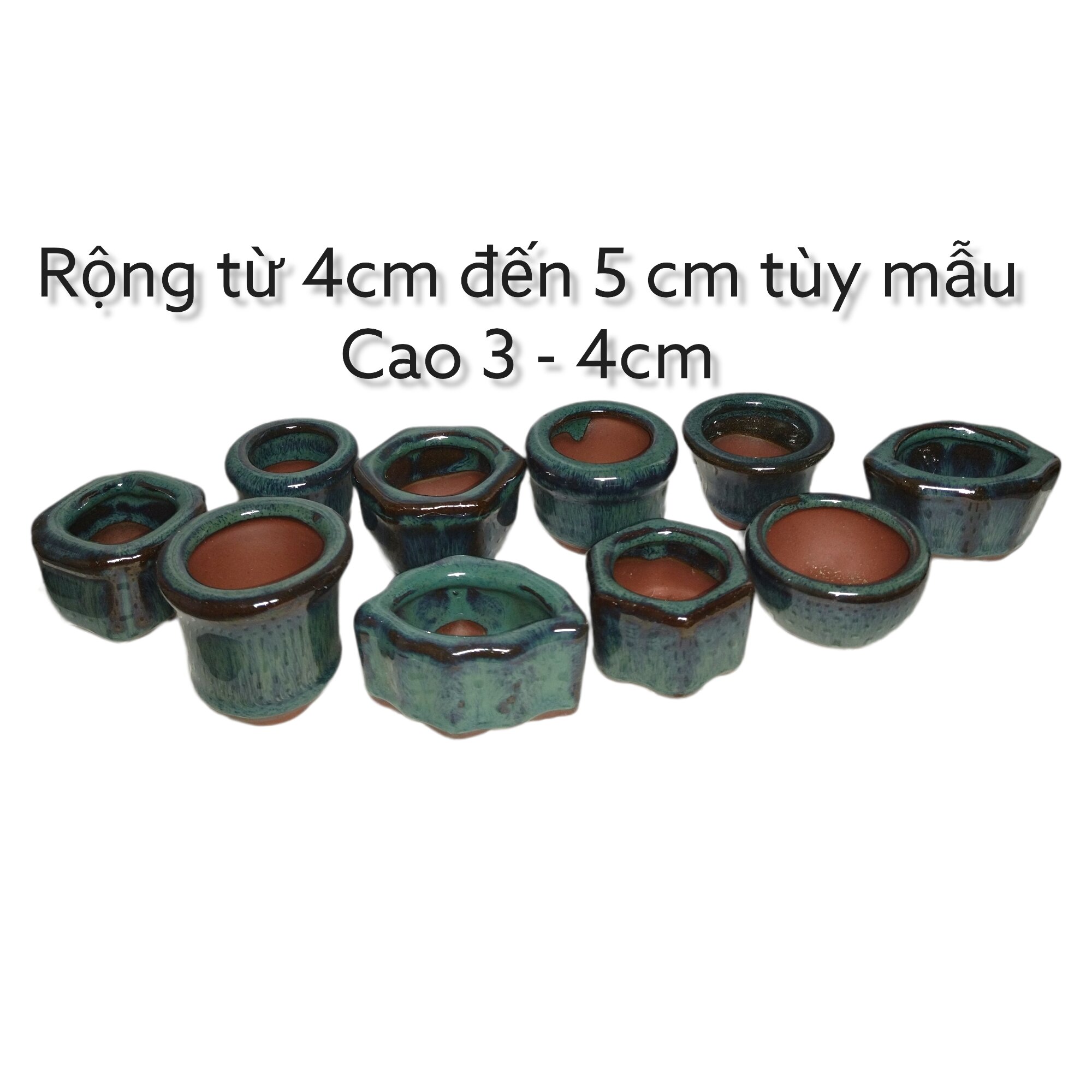 Chậu bonsai mini, combo chậu siêu mini 10 cái
