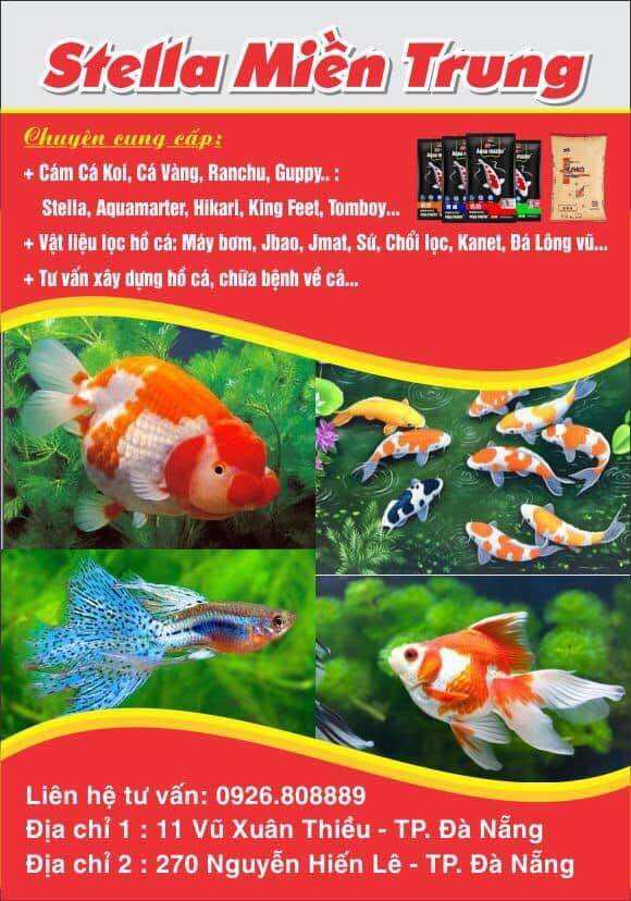 Cám cá Koi Aquamaster 5kg